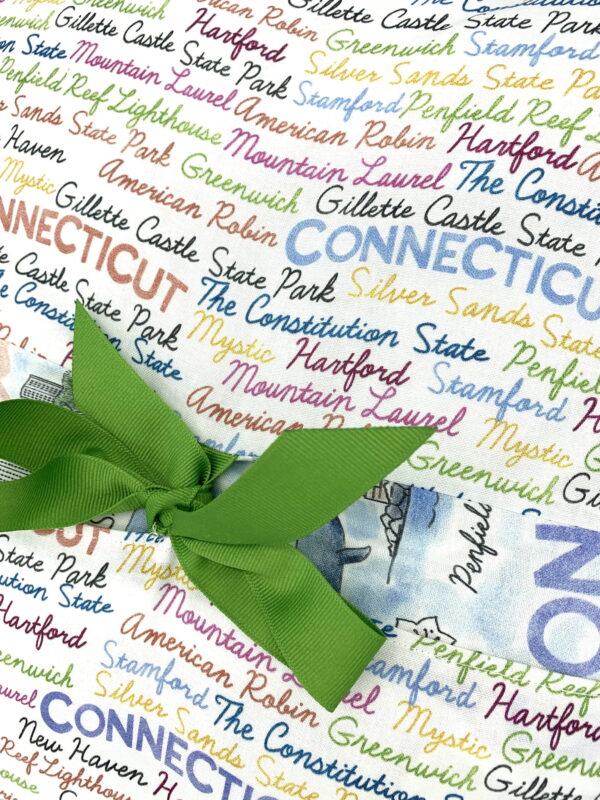 Connecticut Journey Pillow - Image 4